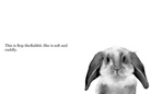 Little Blue Bird