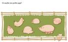 Favorite Animal