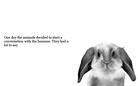 Animals speak up!