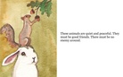 Animals                        By: Natalie K.