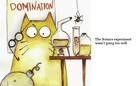 The Crazy Cat Scientist