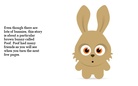 Bunnies