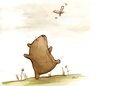 bears