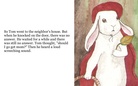The Bunnie Who Liked An Adventure                  by: Jeremiah