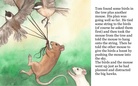 The Bunnie Who Liked An Adventure                  by: Jeremiah