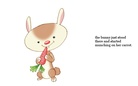 SPOT`S  GREAT ADVENTURE.