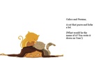 Some Interesting Crossbreeds of Cats