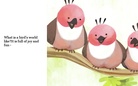 A Bird's World