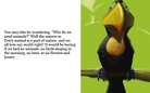 A Book About
         Animals