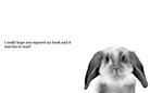 A Book About
         Animals