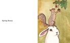 A Bunny Year