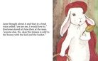 A Bunny that was very different
