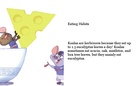 A Nonfiction Book on Koalas