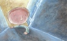 Dreamers,
dream on!