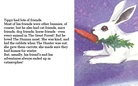 The Adventures of Tippy the Bunny
(And friends!)