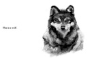 I Love Animals