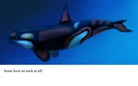 THE CREATURES OF THE WORLD