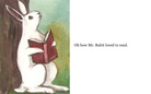Mr. Rabit
