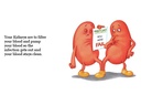 All about your body Systems