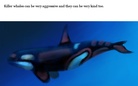 Animals around the world