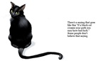 Animals around the world