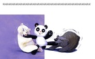 HAHAHAHAHA!