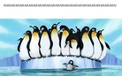 HAHAHAHAHA!