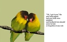 The Cardinal and the Worm