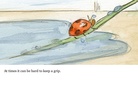 Lost and Found