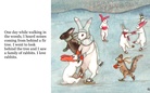 Rabbits As Pets