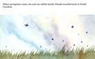 Rabbits As Pets