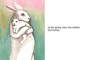 Rabbits As Pets