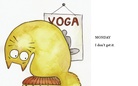 The Diary of a Confused Cat
