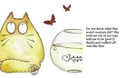 The Diary of a Confused Cat