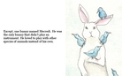 The Lonely Bunny