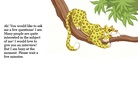 All About a Leopard