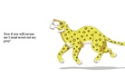 All About a Leopard