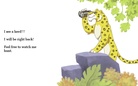 All About a Leopard