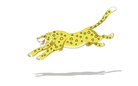 All About a Leopard