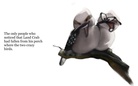 The Land Crab and His Emence Journey to Find Someone He Can Trully Call Freind