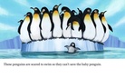 Silly Animals