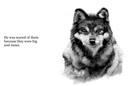 The Wolf