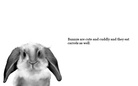 Animals around the world