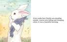 Lonely Bunny     By:  Abbie