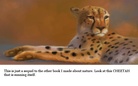 The amazing world of nature