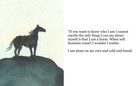 Am I Alone?