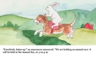 The Animal Race