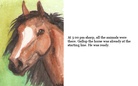 The Animal Race
