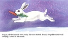 The Animal Race