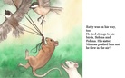 The Animal Race